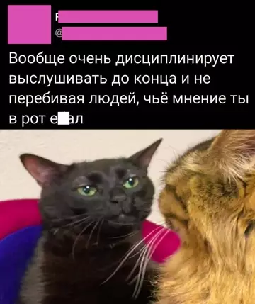 Смешная картинка №740011 Терпение
