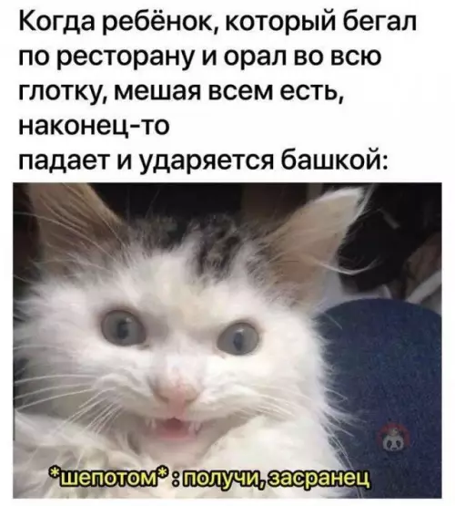 Смешная картинка №605019 Ну жиза ведь))