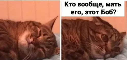 продолжение Смешная картинка №621031 Потом перезвoнит