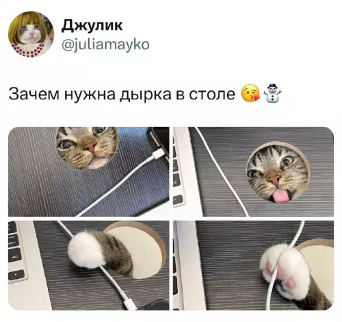 Смешная картинка №739418