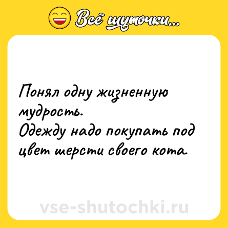 Шутка: Понял одну жизненную мудрость.<br>Одежду надо покупать под цвет шерсти своего кота.