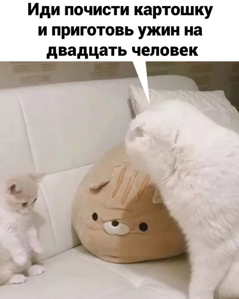 продолжение Смешная картинка №578278