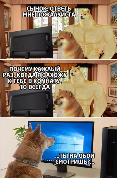 Смешная картинка №538044