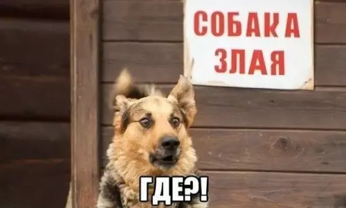 Смешная картинка №380420