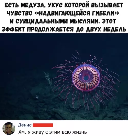 Смешная картинка №372493