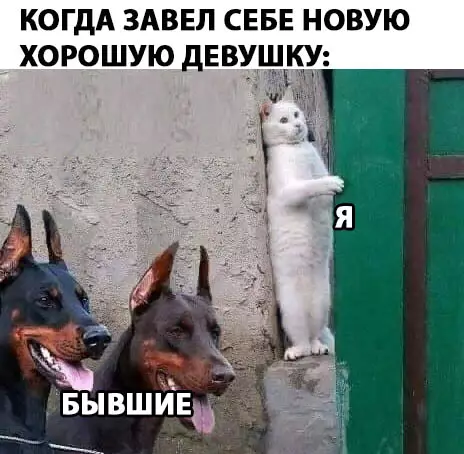 Смешная картинка №281800