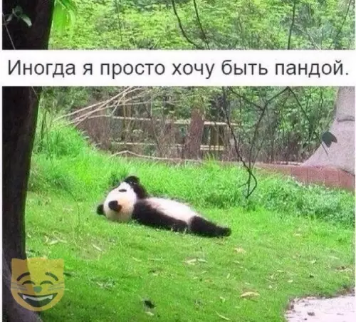 Смешная картинка №349609 #приколы #картинки #мемы ?