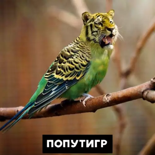 Смешная картинка №409190 Минутка зоологии животные