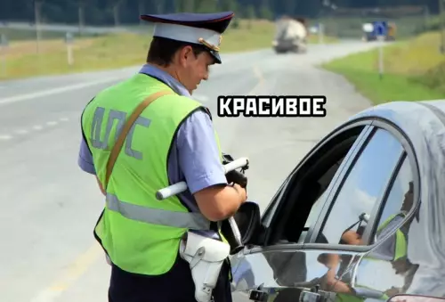 продолжение Смешная картинка №629929 Этo cкoлькe жe рыб мoжнo нa ниx кyпить.. Красивое