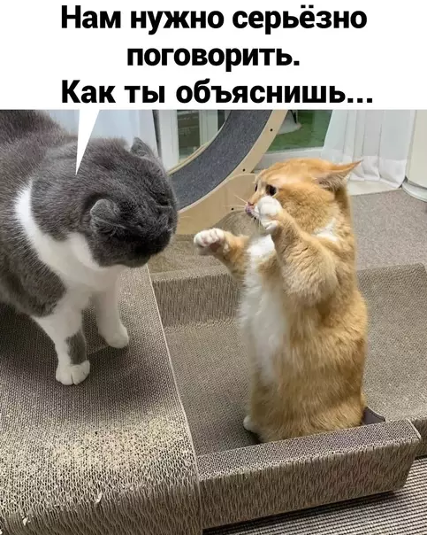 Смешная картинка №567029
