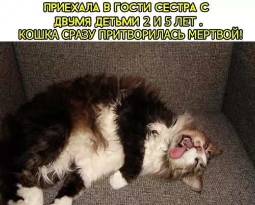 Смешная картинка №285298