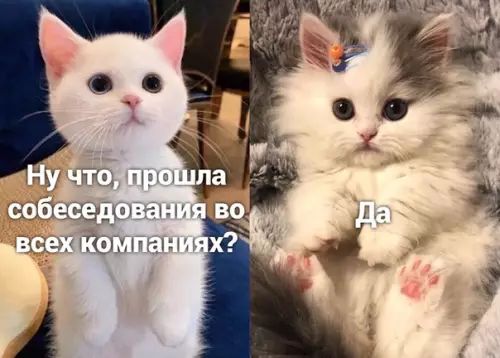 Смешная картинка №501595