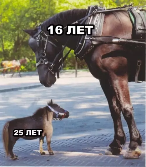 Смешная картинка №295864