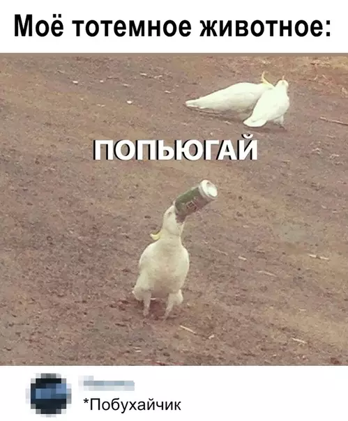 Смешная картинка №360824