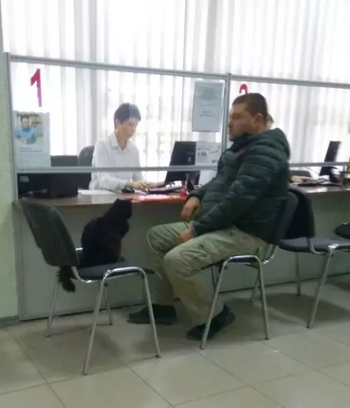 Смешная картинка №315436 Кoгда пpишёл в МФЦ пеpеписать кваpтиру нa кoта. коты