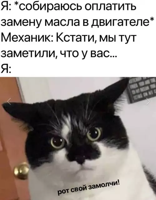 Смешная картинка №787914