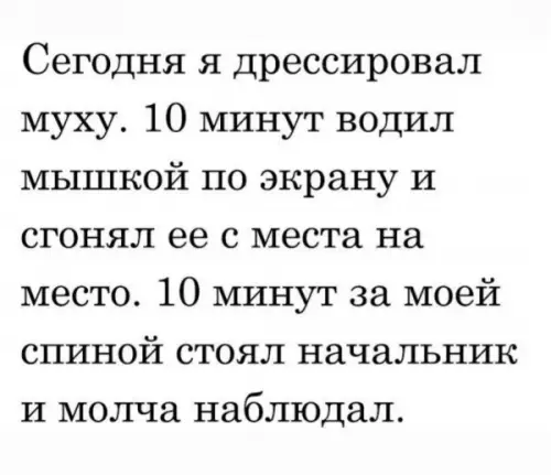 Смешная картинка №654166