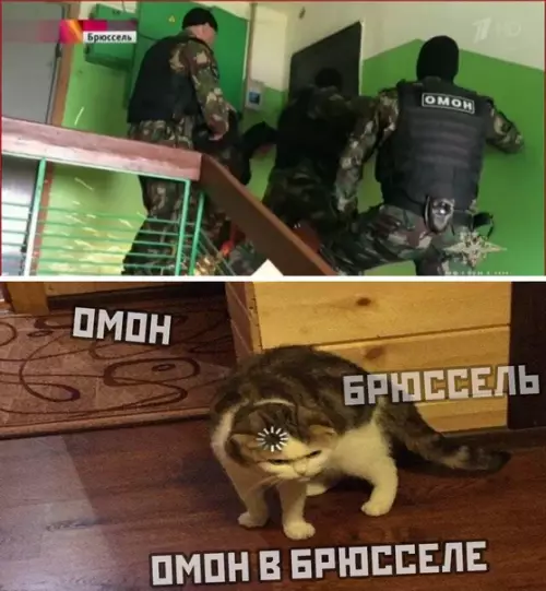 Смешная картинка №528523