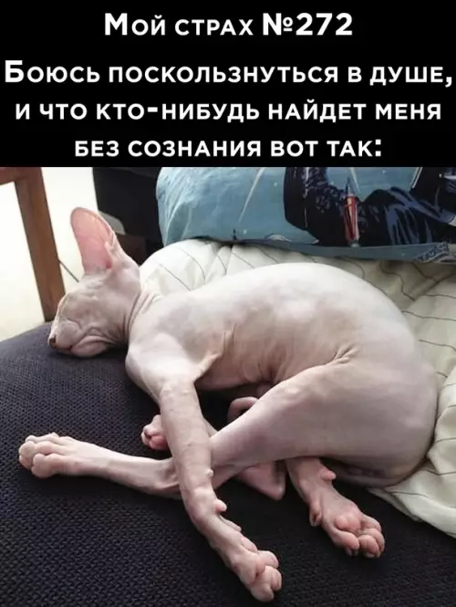 Смешная картинка №705183