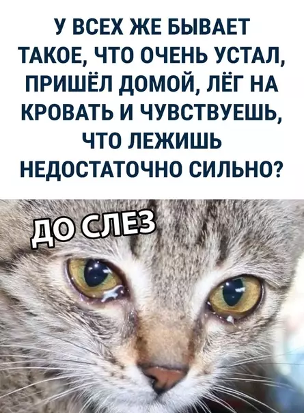 Смешная картинка №295315