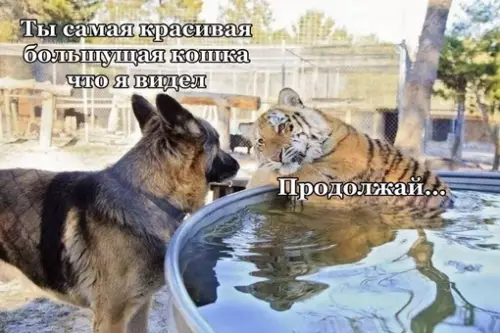 Смешная картинка №672923