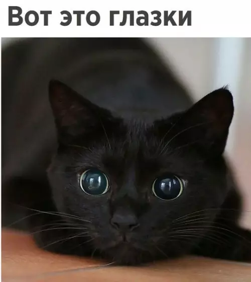 Смешная картинка №197399