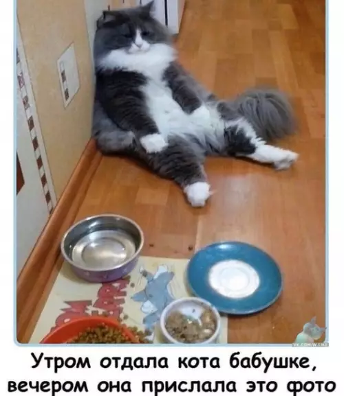 Смешная картинка №409136