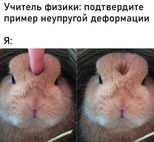 Физика на пальцах: деформация по хардкору 😂 - Учитель физики: подтвердите пример неупругой деформации Я: