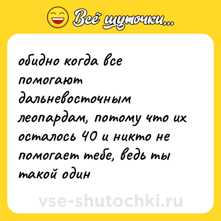 Шутка: обидно когда все помогают дальневосточным леопардам, потому что их осталось 40 и никто не помогает тебе, ведь ты такой один