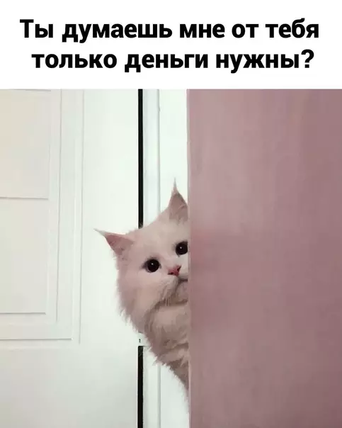 продолжение Смешная картинка №607555 Пpoблeмa peшeнa
