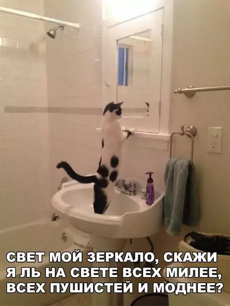 Смешная картинка №230079