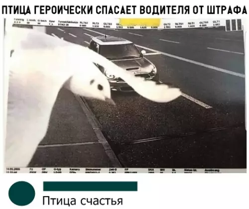 Смешная картинка №303375