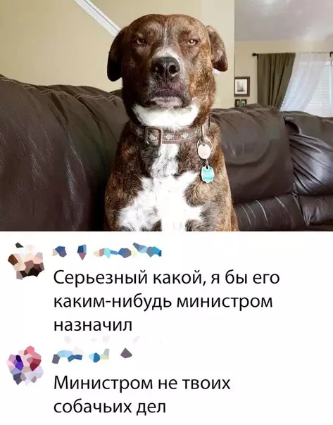 Смешная картинка №380972 Mинистр, которого мы заслуживаем.