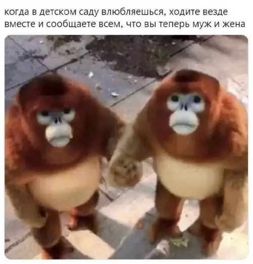 Смешная картинка №693042