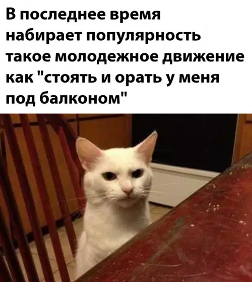 Смешная картинка №644147