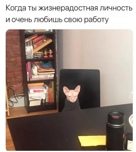 Смешная картинка №321604 Жизнeнно.