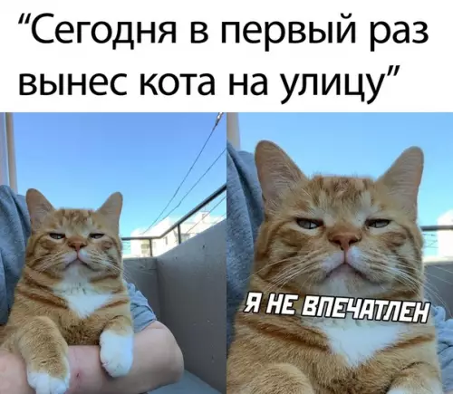 Смешная картинка №500901