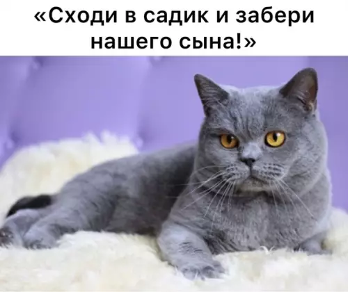Смешная картинка №603374 Лучше папке в этом вопросе не доверять