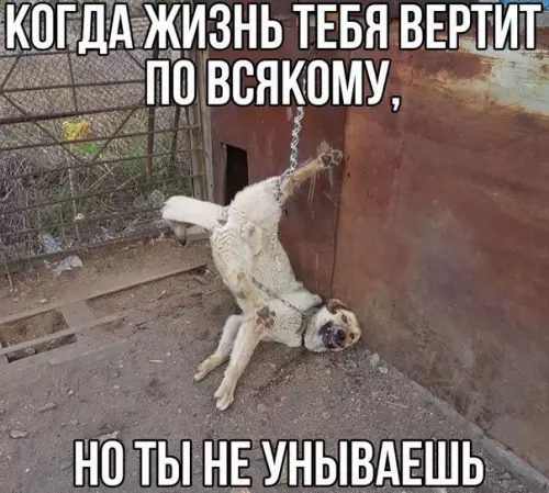 Смешная картинка №240932