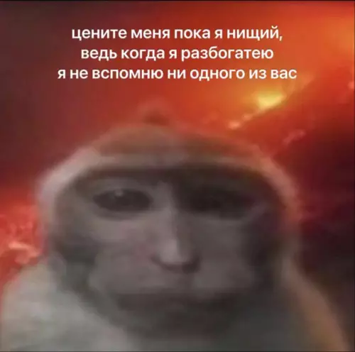 Когда планируешь стать легендой 🤑🐒 - цените меня пока я нищий, ведь когда я разбогатею я