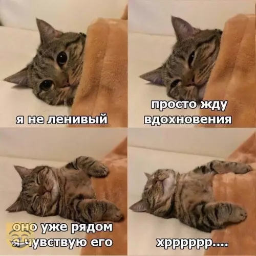 Смешная картинка №367817 #приколы #картинки #мемы ?
