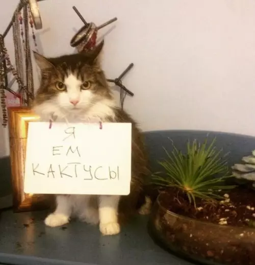 Смешная картинка №228843 Злостный преступник