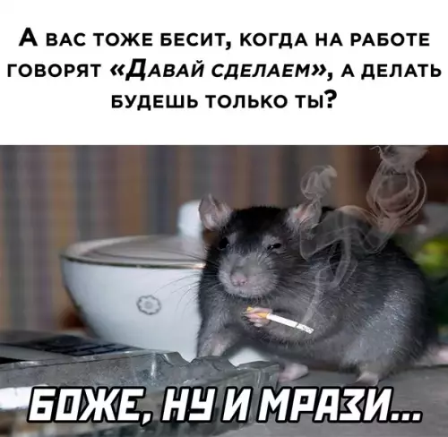 Смешная картинка №575490 Работа