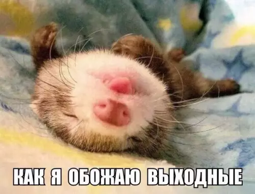 Смешная картинка №179707
