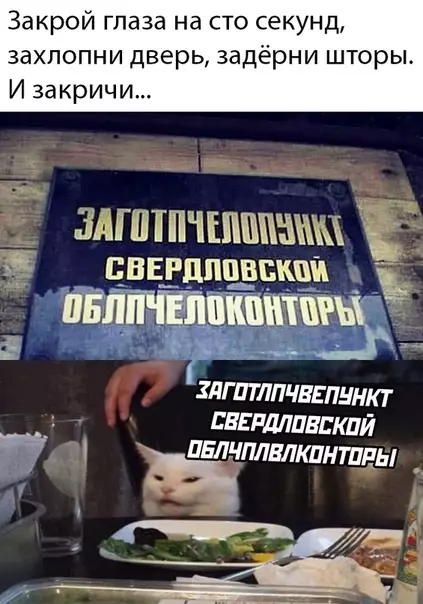 Смешная картинка №490531