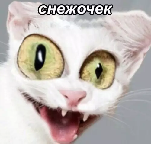 Смешная картинка №400988 Уже скоро.. мемы, новый год