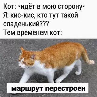 Смешная картинка №675930