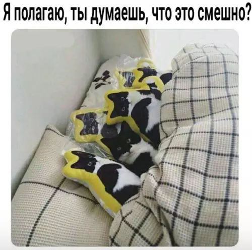 Смешная картинка №244287