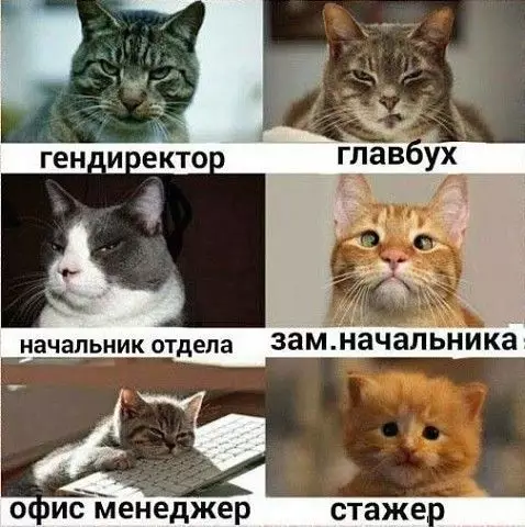 Смешная картинка №415415