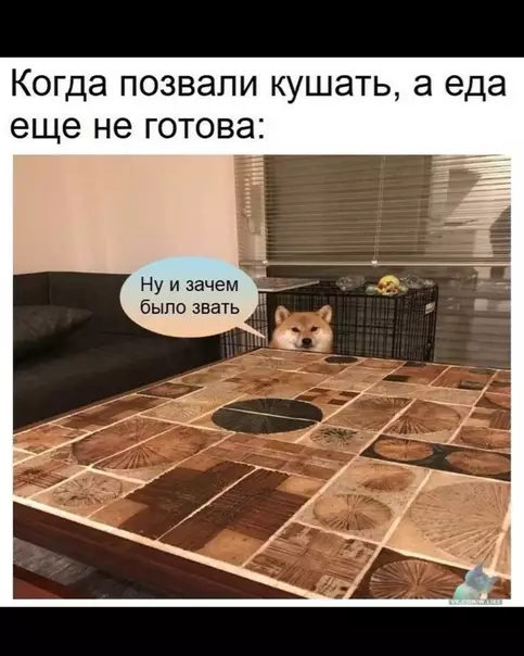 Смешная картинка №367680